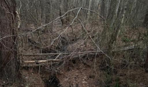 Photo #18 of Piney Mountain Road, Appomattox, VA 23.2 acres