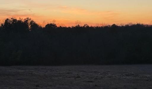 Photo #23 of Piney Mountain Road, Appomattox, VA 23.2 acres