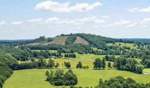 Photo #5 of Piney Mountain Road, Appomattox, VA 23.2 acres