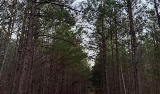 Photo #6 of Piney Mountain Road, Appomattox, VA 23.2 acres