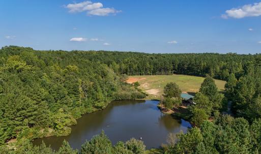 Photo #14 of 5453 Crab Orchard Rd, Keysville, VA 32.1 acres