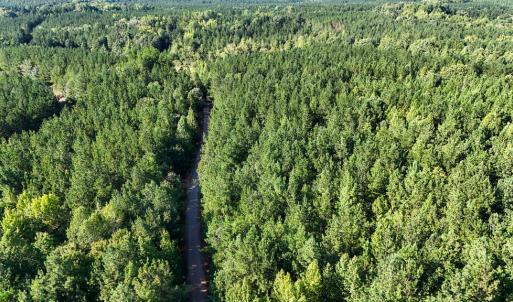 Photo #19 of 5453 Crab Orchard Rd, Keysville, VA 32.1 acres