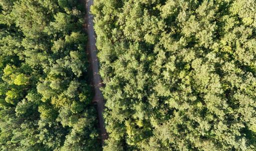 Photo #20 of 5453 Crab Orchard Rd, Keysville, VA 32.1 acres