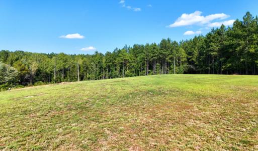 Photo #4 of 5453 Crab Orchard Rd, Keysville, VA 32.1 acres