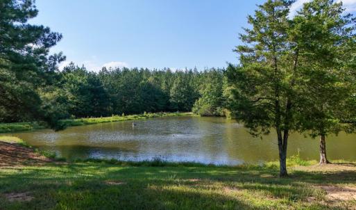 Photo #7 of 5453 Crab Orchard Rd, Keysville, VA 32.1 acres