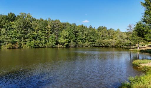 Photo #9 of 5453 Crab Orchard Rd, Keysville, VA 32.1 acres