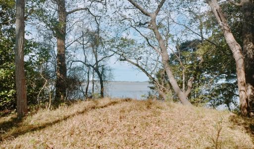 Photo #3 of Lot 6 CEDAR GROVE DRIVE, PAINTER, VA 1.6 acres