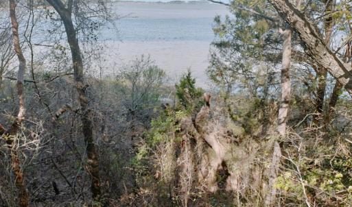 Photo #5 of Lot 6 CEDAR GROVE DRIVE, PAINTER, VA 1.6 acres