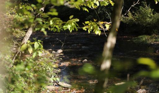 Photo #2 of Hollywood Road, Appomattox, VA 84.4 acres