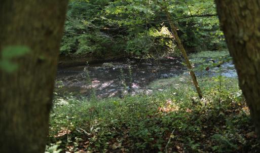 Photo #7 of Hollywood Road, Appomattox, VA 84.4 acres