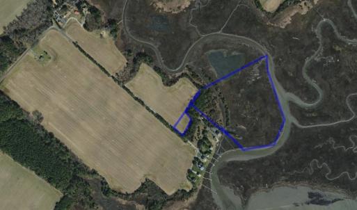 Photo #2 of ALICATO RD, PARKSLEY, VA 20.0 acres