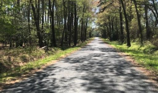 Photo #4 of ALICATO RD, PARKSLEY, VA 20.0 acres