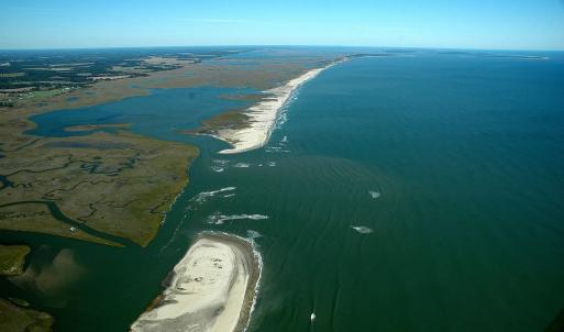 Photo #6 of ALICATO RD, PARKSLEY, VA 4.5 acres