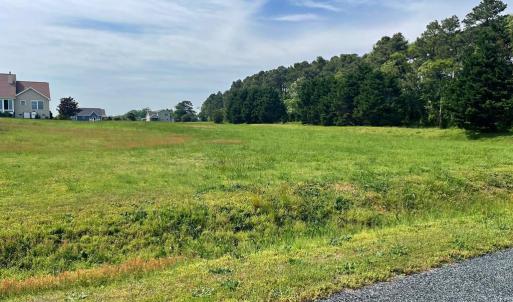 Photo #32 of Lot 29 OYSTER COVE LANE, ATLANTIC, VA 0.8 acres