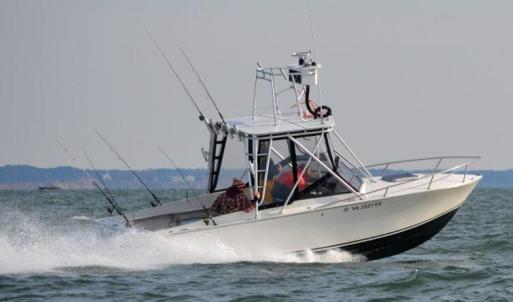 A good day on the bay