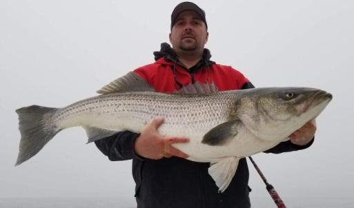 A great day on the bay!