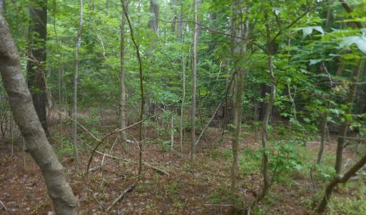 Photo #2 of Lot 21 YEO NECK RUN, MELFA, VA 0.7 acres