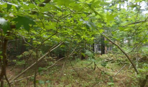 Photo #3 of Lot 21 YEO NECK RUN, MELFA, VA 0.7 acres
