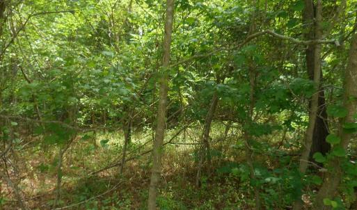 Photo #5 of Lot 21 YEO NECK RUN, MELFA, VA 0.7 acres
