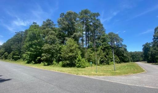 Photo #2 of Lot 82 CORBIN HALL LN, HORNTOWN, VA 3.0 acres