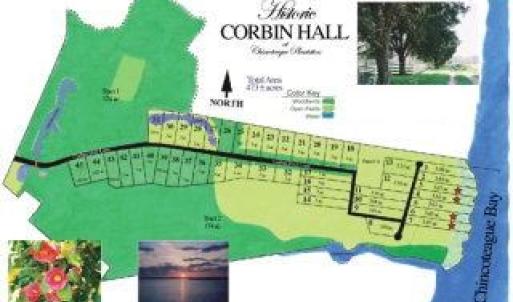 Photo #4 of Lot 82 CORBIN HALL LN, HORNTOWN, VA 3.0 acres
