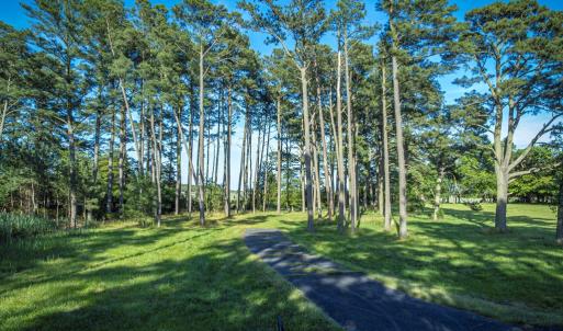 Photo #2 of Lot 9 OCEANVIEW COURT, ACCOMAC, VA 3.5 acres