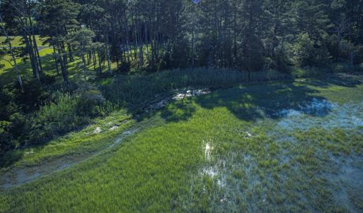Photo #8 of Lot 9 OCEANVIEW COURT, ACCOMAC, VA 3.5 acres