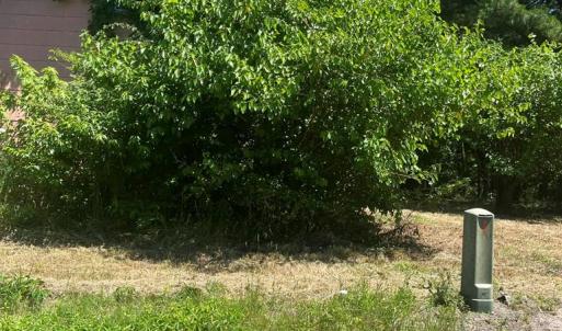 Photo #8 of 15001 WINTERVILLE RD, BLOXOM, VA 9.0 acres