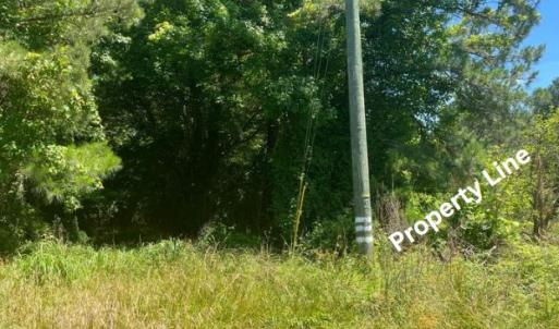 Photo #9 of 15001 WINTERVILLE RD, BLOXOM, VA 9.0 acres