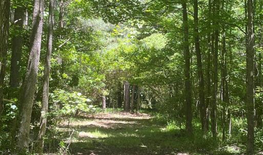 Photo #3 of 15001 WINTERVILLE RD, BLOXOM, VA 9.0 acres