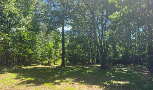 Photo #4 of 15001 WINTERVILLE RD, BLOXOM, VA 9.0 acres