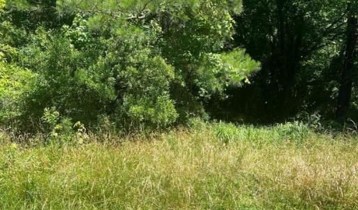 Photo #6 of 15001 WINTERVILLE RD, BLOXOM, VA 9.0 acres