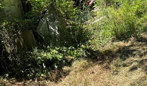 Photo #7 of 15001 WINTERVILLE RD, BLOXOM, VA 9.0 acres