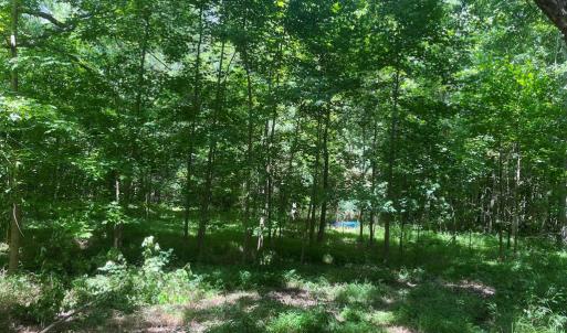 Photo #5 of 15001 WINTERVILLE RD, BLOXOM, VA 9.0 acres