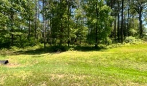 Photo #12 of 26 & 27 OLDE MILL LANE, NEW CHURCH, VA 4.2 acres