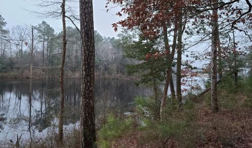 Photo #4 of 26 & 27 OLDE MILL LANE, NEW CHURCH, VA 4.2 acres