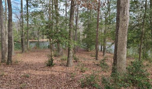 Photo #3 of 26 & 27 PARKER PATH, NEW CHURCH, VA 4.2 acres