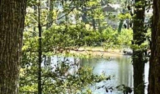 Photo #5 of 26 & 27 PARKER PATH, NEW CHURCH, VA 4.2 acres