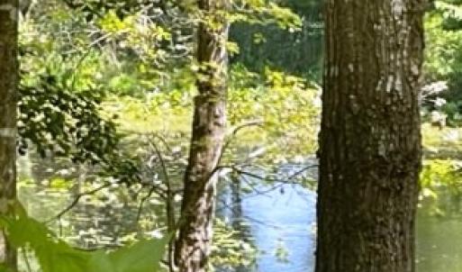 Photo #8 of 26 & 27 PARKER PATH, NEW CHURCH, VA 4.2 acres
