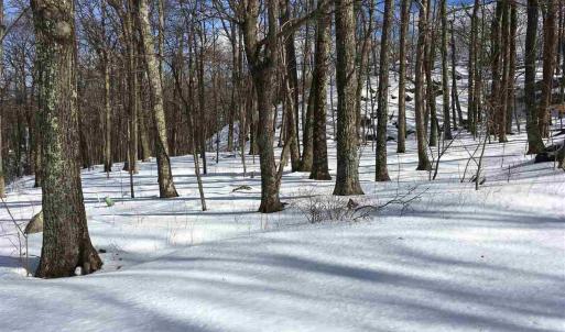 Photo #3 of 117 FAIRWAY OAKS LN, WINTERGREEN RESORT, VA 0.6 acres