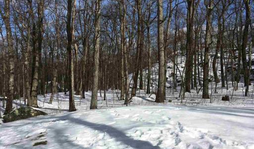 Photo #4 of 117 FAIRWAY OAKS LN, WINTERGREEN RESORT, VA 0.6 acres