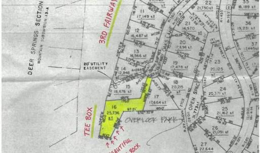 Photo #5 of 117 FAIRWAY OAKS LN, WINTERGREEN RESORT, VA 0.6 acres