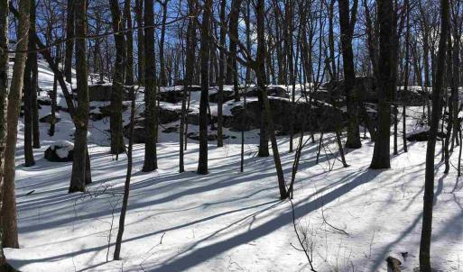 Photo #6 of 117 FAIRWAY OAKS LN, WINTERGREEN RESORT, VA 0.6 acres
