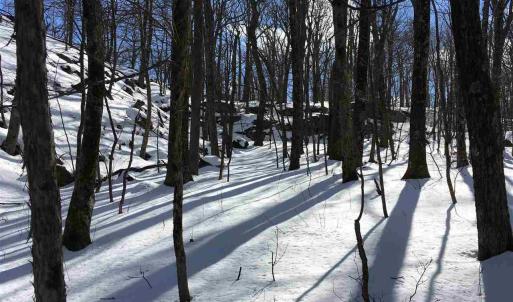 Photo #7 of 117 FAIRWAY OAKS LN, WINTERGREEN RESORT, VA 0.6 acres