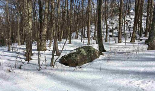 Photo #9 of 117 FAIRWAY OAKS LN, WINTERGREEN RESORT, VA 0.6 acres