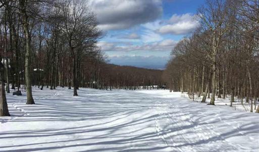 Photo #1 of 117 FAIRWAY OAKS LN, WINTERGREEN RESORT, VA 0.6 acres