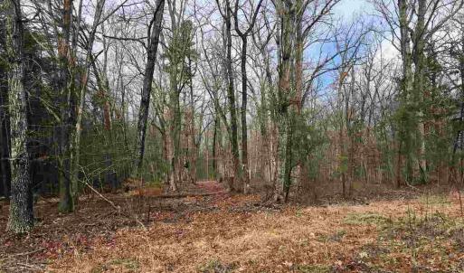 Photo #4 of 503 GARDEN LN, PALMYRA, VA 49.8 acres