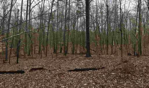 Photo #6 of 503 GARDEN LN, PALMYRA, VA 49.8 acres
