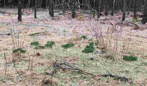 Photo #11 of 503 GARDEN LN, PALMYRA, VA 49.8 acres