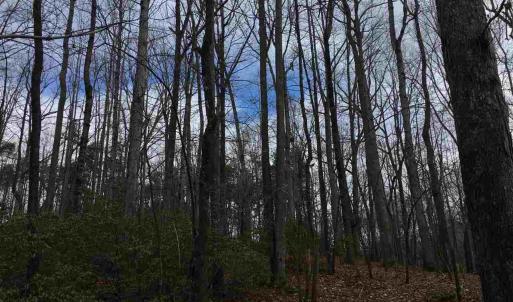 Photo #8 of 503 GARDEN LN, PALMYRA, VA 49.8 acres